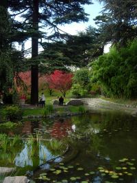 Albert Kahn Gardens Paris