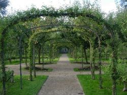 Albert Kahn Rose Garden Paris