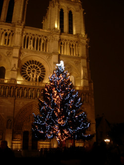 Christmas in Paris