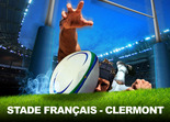 STADE FRANCAIS PARIS - CLERMONT Rugby Paris