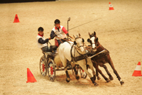 Paris Cup Driving Competition