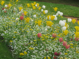 Garden Festival Paris